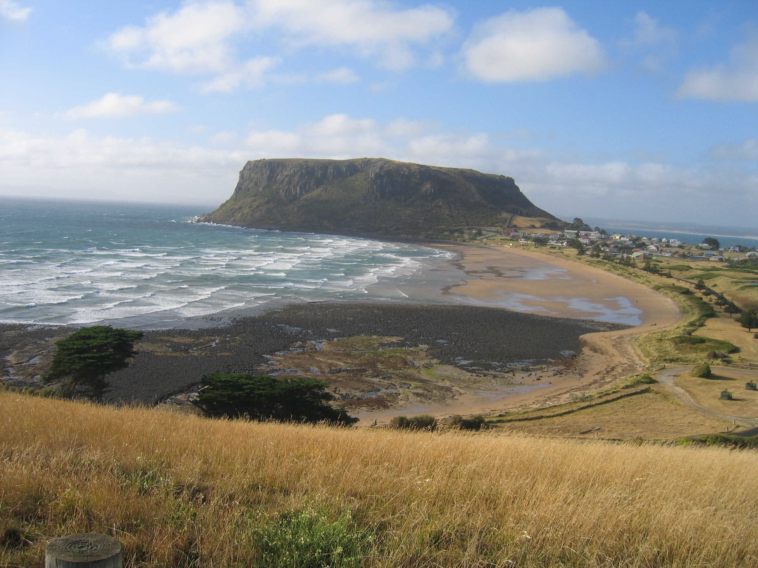 The Nuts and Bolts of Paced ECG Interpretation 価格比較 秋田茶うすのブログ